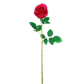 Hot Pink Harper Rose 62cm