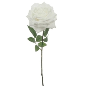 White Marie Rose 74cm