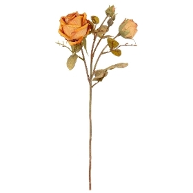 Honey Dry Spray Rose 48cm