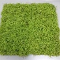 100cm Mossed Tile