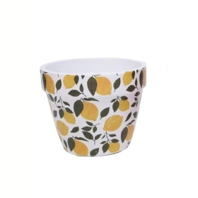 Yellow Fruit Pot 12cm