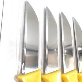 Florist Knives x 5