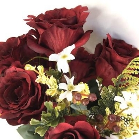 Burgundy Rose Bush 50cm