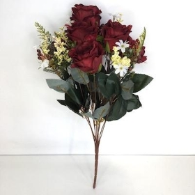 Burgundy Rose Bush 50cm