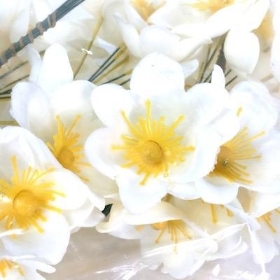 White Christmas Rose Pick x 100