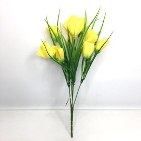 42 x Assorted Tulip Bush 35cm