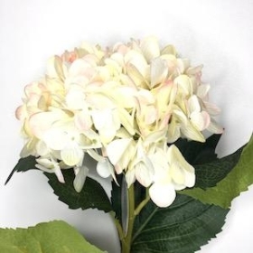 Blush Pink Hydrangea 81cm