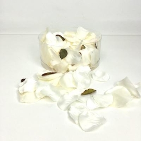 Cream Rose Petals x 164