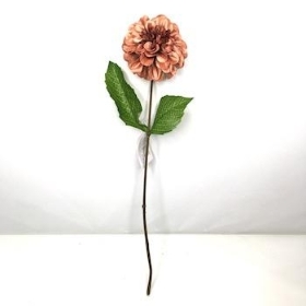 Russet Zinnia 44cm