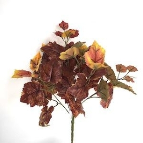 48 x Burgundy Grape Ivy Bush 41cm