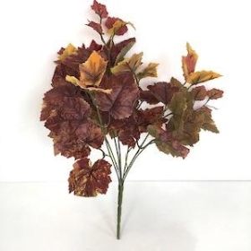 48 x Burgundy Grape Ivy Bush 41cm