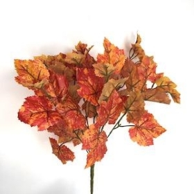 48 x Orange Grape Ivy Bush 41cm