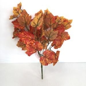 48 x Orange Grape Ivy Bush 41cm