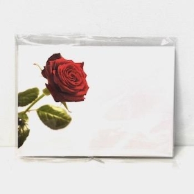 Red Rose Florist Cards x 6