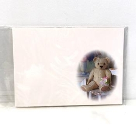 Teddy Florist Cards x 6